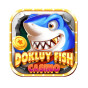 dokluy fish casino